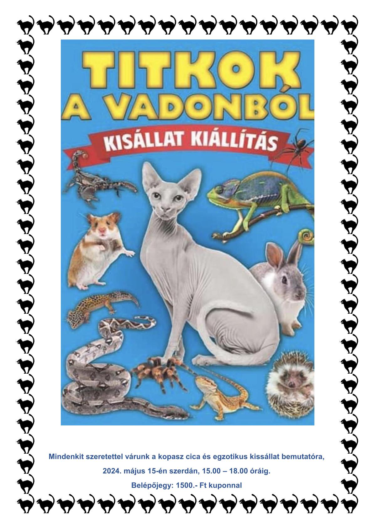 Kiallitas Kisallat 2024